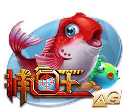 星空足球入口最新版